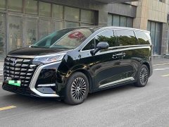 Denza D9 2022 DM-i 970 AWD Flagship - ფოტო 1