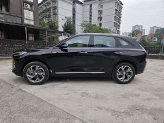 FAW Red Flag HS3 PHEV 117km Dynamic Edition - ფოტო 4