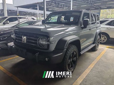 2021 Tank 300 Off-Road Edition 2.0T Conqueror - ავტომობილი ჩინეთიდან