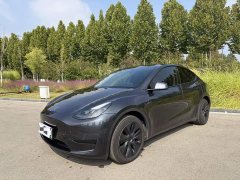 Tesla Model Y Rear-Wheel Drive - ფოტო 1