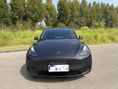 Tesla Model Y Rear-Wheel Drive - ფოტო 2