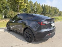 Tesla Model Y Rear-Wheel Drive - ფოტო 3
