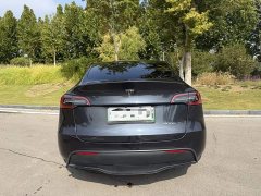 Tesla Model Y Rear-Wheel Drive - ფოტო 4