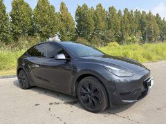 Tesla Model Y Rear-Wheel Drive - ფოტო 6