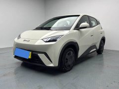BYD Seagull 305km Vitality Edition - ფოტო 1