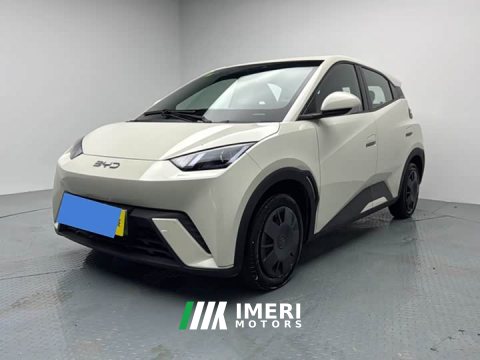 2025 BYD Seagull 305km Vitality Edition - ავტომობილი ჩინეთიდან