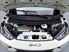 BYD Seagull 305km Vitality Edition - ფოტო 16