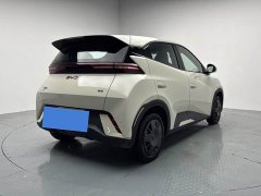 BYD Seagull 305km Vitality Edition - ფოტო 17
