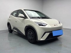 BYD Seagull 305km Vitality Edition - ფოტო 2
