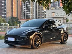 Tesla Model Y 2022 Facelift Rear-Wheel Drive - ფოტო 1