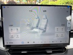 Geely Xingrui Oriental Radiance 1.5TD Stunning Appearance Edition - ფოტო 10