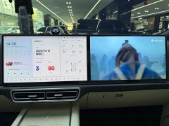 Li Auto L9 2024 Pro - ფოტო 17