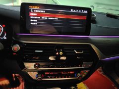 BMW 5 Series 530Li Premier Luxury Package - ფოტო 14
