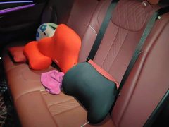 BMW 5 Series 530Li Premier Luxury Package - ფოტო 18