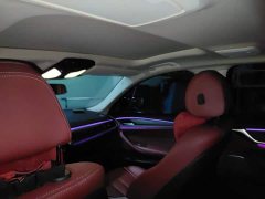 BMW 5 Series 530Li Premier Luxury Package - ფოტო 19
