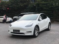 Tesla Model Y Rear-Wheel Drive - ფოტო 1