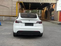 Tesla Model Y Rear-Wheel Drive - ფოტო 4
