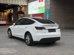 Tesla Model Y Rear-Wheel Drive - ფოტო 6