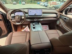 Tank 700 New Energy Hi4-T Ultimate Edition - ფოტო 16