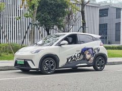 BYD Seagull Glory Edition 405km Flying Edition - ფოტო 1