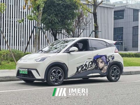 2024 BYD Seagull Glory Edition 405km Flying Edition - ავტომობილი ჩინეთიდან