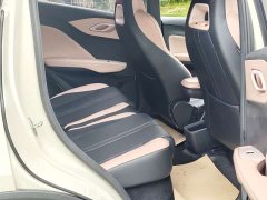 BYD Seagull Glory Edition 405km Flying Edition - ფოტო 13