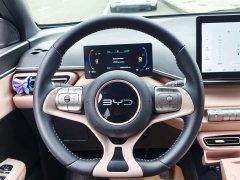 BYD Seagull Glory Edition 405km Flying Edition - ფოტო 14