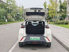 BYD Seagull Glory Edition 405km Flying Edition - ფოტო 18