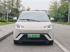 BYD Seagull Glory Edition 405km Flying Edition - ფოტო 2