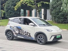 BYD Seagull Glory Edition 405km Flying Edition - ფოტო 3