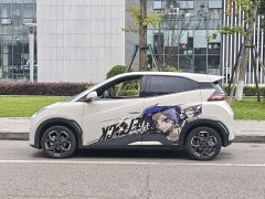 BYD Seagull Glory Edition 405km Flying Edition - ფოტო 4