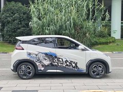 BYD Seagull Glory Edition 405km Flying Edition - ფოტო 5