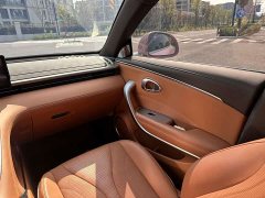 ORA Lightning Cat 2022 555km Deluxe Edition - ფოტო 15