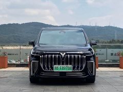 Voyah Dream PHEV Extended Range Luxury Edition - ფოტო 2