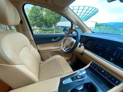 Voyah Dream PHEV Extended Range Luxury Edition - ფოტო 20