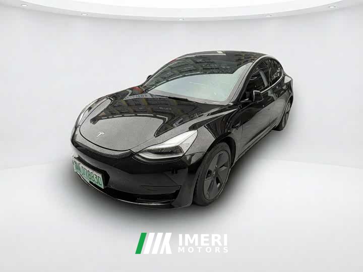 Tesla Model 3 standard range rear drive upgraded version 3D6