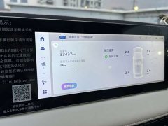 Geely Geometry E Firefly 301km Aurora - ფოტო 10