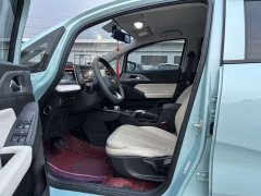 Geely Geometry E Firefly 301km Aurora - ფოტო 13