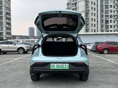 Geely Geometry E Firefly 301km Aurora - ფოტო 18