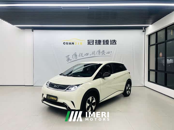 BYD Dolphin 420km Freedom Edition - ავტომობილი ჩინეთიდან
