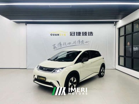 2025 BYD Dolphin 420km Freedom Edition - ავტომობილი ჩინეთიდან