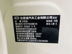 BYD Dolphin 420km Freedom Edition - ფოტო 16