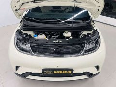 BYD Dolphin 420km Freedom Edition - ფოტო 2