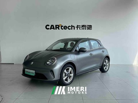 2025 ORA Good Cat 430km Deluxe Edition - ავტომობილი ჩინეთიდან