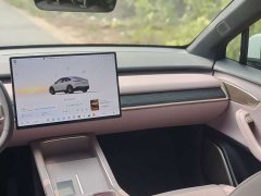 Nio Onvo L60 60kWh Max - ფოტო 6