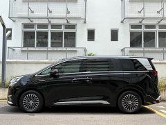 Denza BYD Denza D9 2025 DM-i AWD Premium Navigation Edition - ფოტო 9