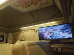 Nissan vala home 2025 Peak Edition I - ფოტო 3