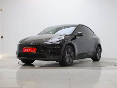 Tesla Model Y Long Range Rear-Wheel Drive - ფოტო 1