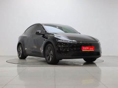 Tesla Model Y Long Range Rear-Wheel Drive - ფოტო 3