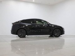 Tesla Model Y Long Range Rear-Wheel Drive - ფოტო 8
